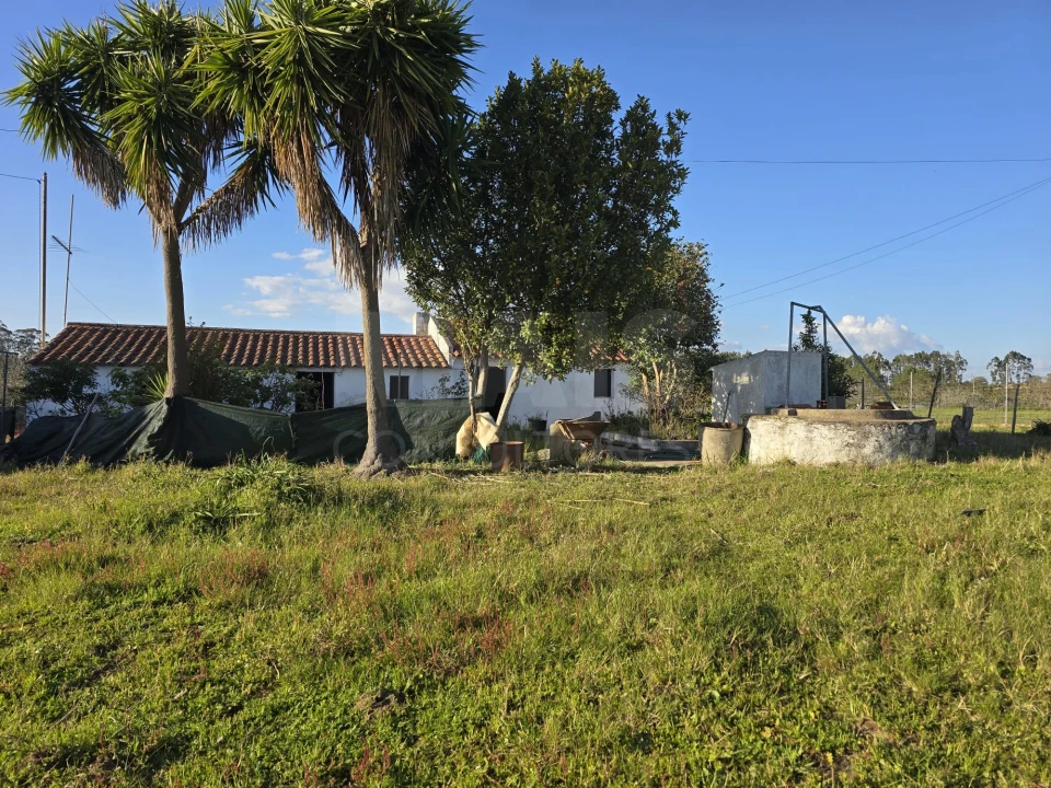 Moradia T2 para Venda em São Salvador e Santa Maria Foto 6