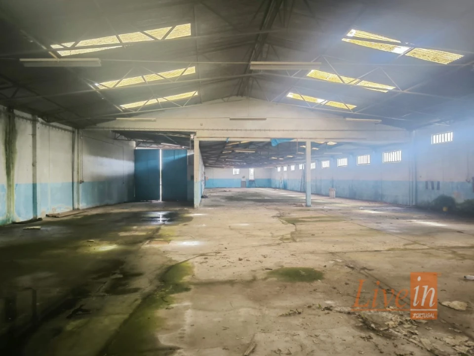 Armazém para Venda em Pataias e Martingança Foto 6