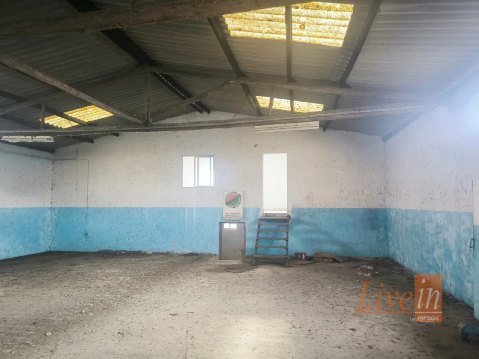 Armazém para Venda em Pataias e Martingança Foto 10