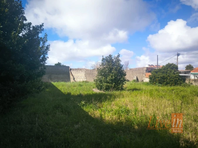 Armazém para Venda em Pataias e Martingança Foto 12