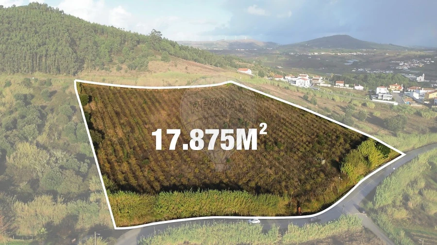 Terreno para Venda em Azueira e Sobral da Abelheira