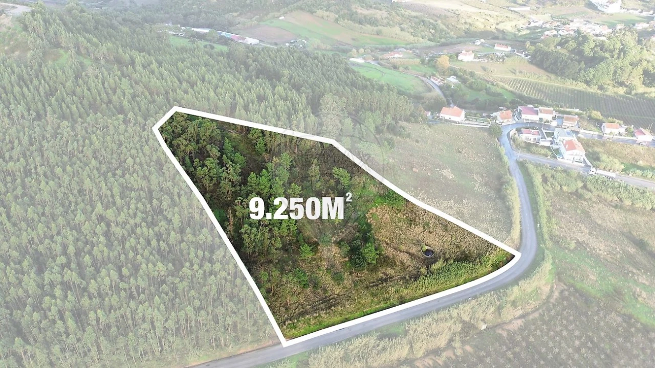 Terreno para Venda em Azueira e Sobral da Abelheira Foto 1