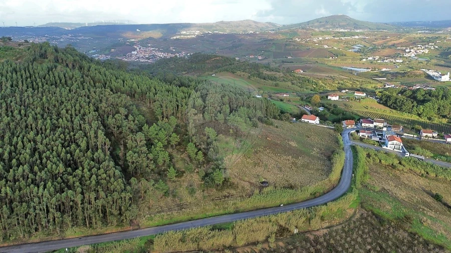Terreno para Venda em Azueira e Sobral da Abelheira Foto 2