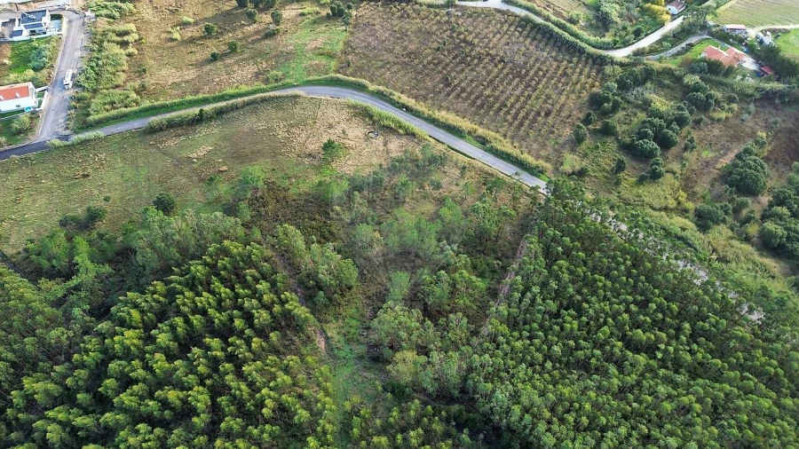 Terreno para Venda em Azueira e Sobral da Abelheira Foto 6
