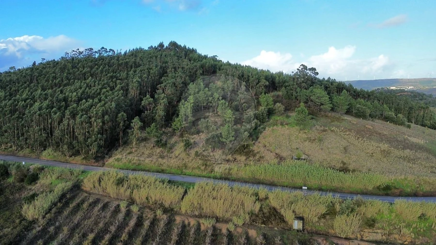 Terreno para Venda em Azueira e Sobral da Abelheira Foto 3