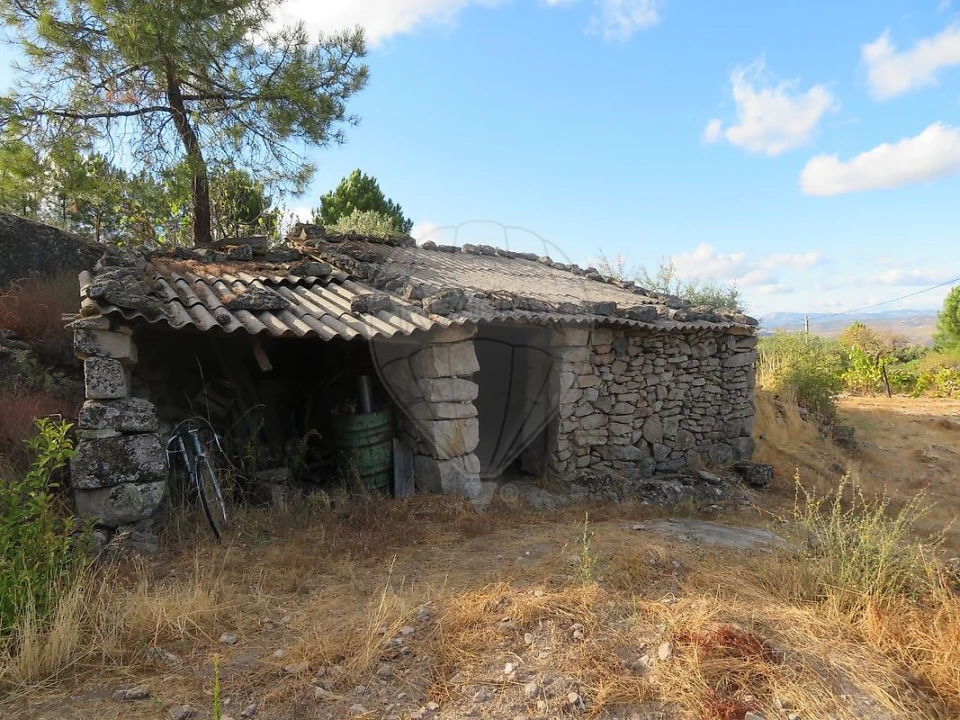 Terreno para Venda em Larinho Foto 7