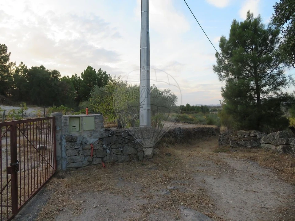 Terreno para Venda em Larinho Foto 5