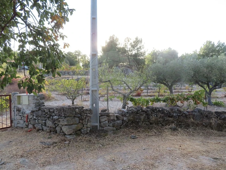 Terreno para Venda em Larinho Foto 2