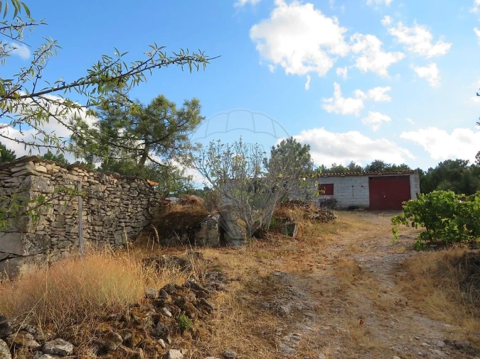 Terreno para Venda em Larinho Foto 8
