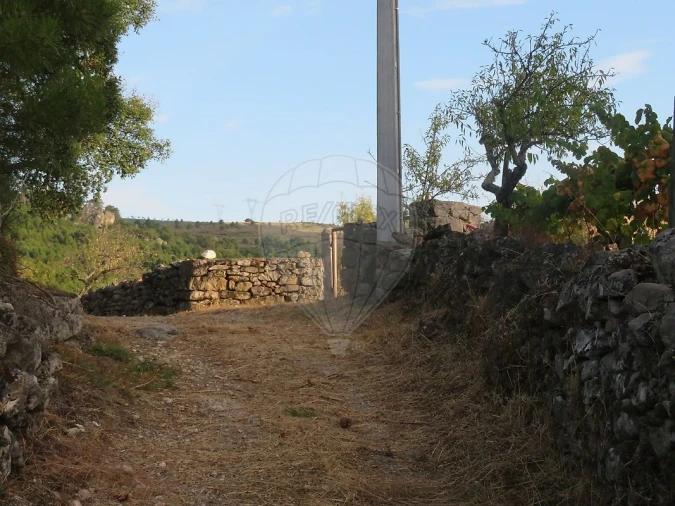 Terreno para Venda em Larinho Foto 4