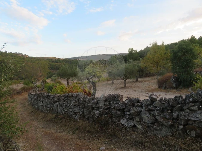 Terreno para Venda em Larinho Foto 6