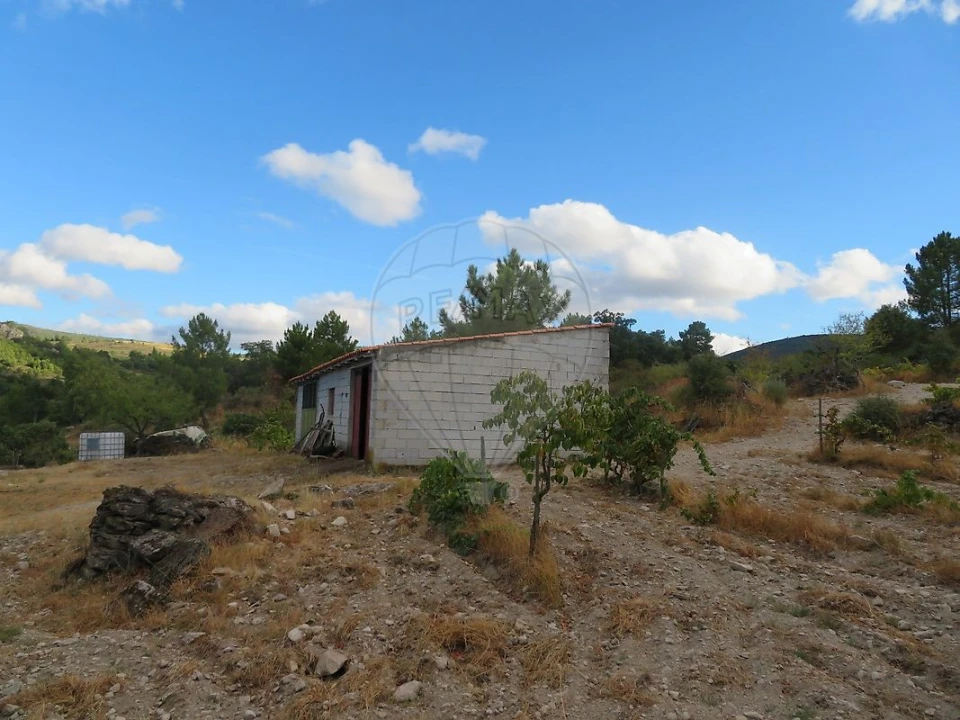 Terreno para Venda em Larinho Foto 12