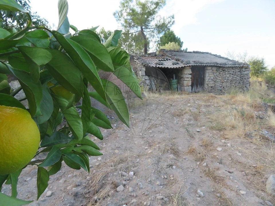 Terreno para Venda em Larinho Foto 18