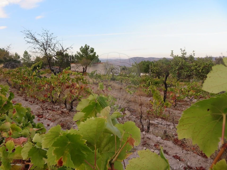 Terreno para Venda em Larinho Foto 17