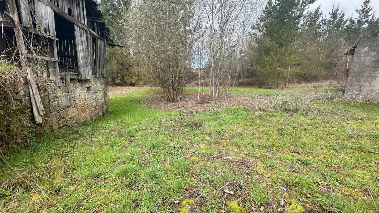 Terreno para Venda em São Cipriano e Vil de Souto Foto 10