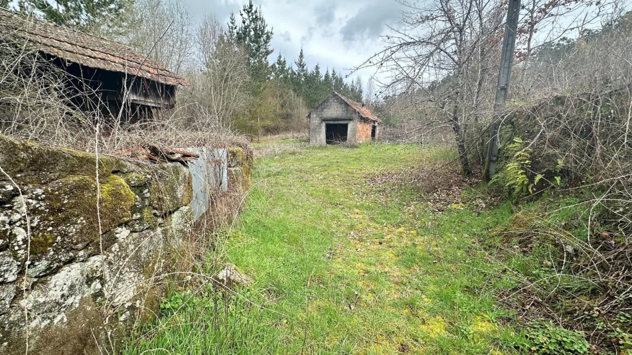 Terreno para Venda em São Cipriano e Vil de Souto Foto 15