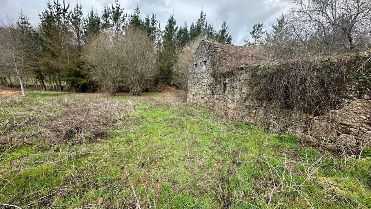 Terreno para Venda em São Cipriano e Vil de Souto Foto 4