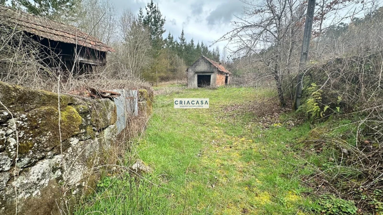 Terreno para Venda em São Cipriano e Vil de Souto Foto 11