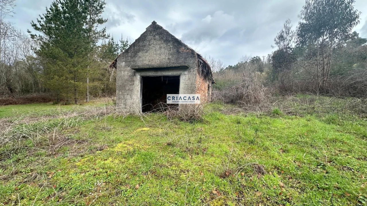Terreno para Venda em São Cipriano e Vil de Souto Foto 13