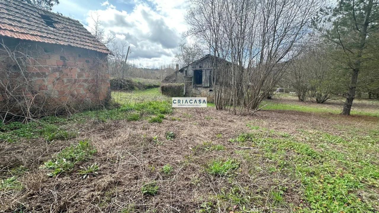 Terreno para Venda em São Cipriano e Vil de Souto Foto 14