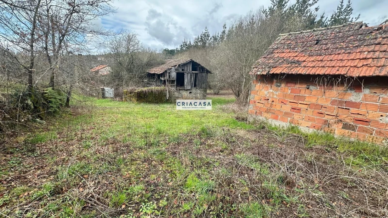 Terreno para Venda em São Cipriano e Vil de Souto Foto 15