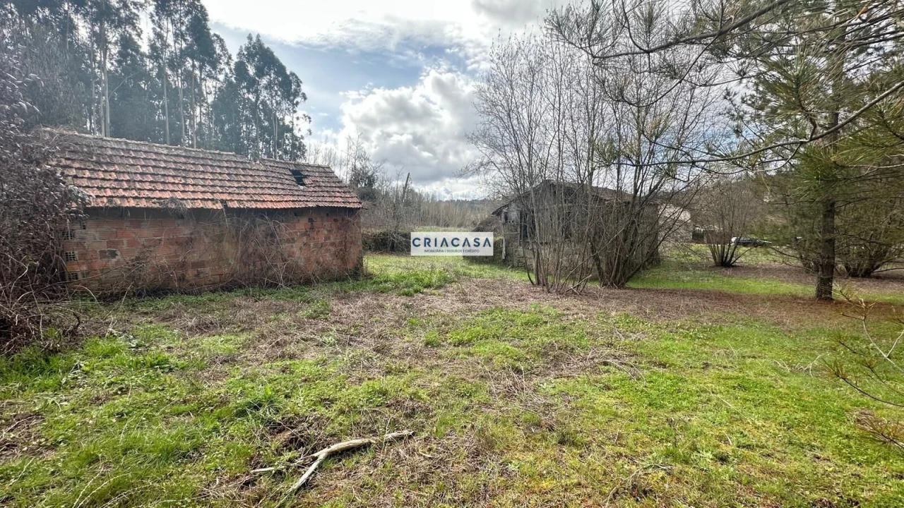 Terreno para Venda em São Cipriano e Vil de Souto Foto 22