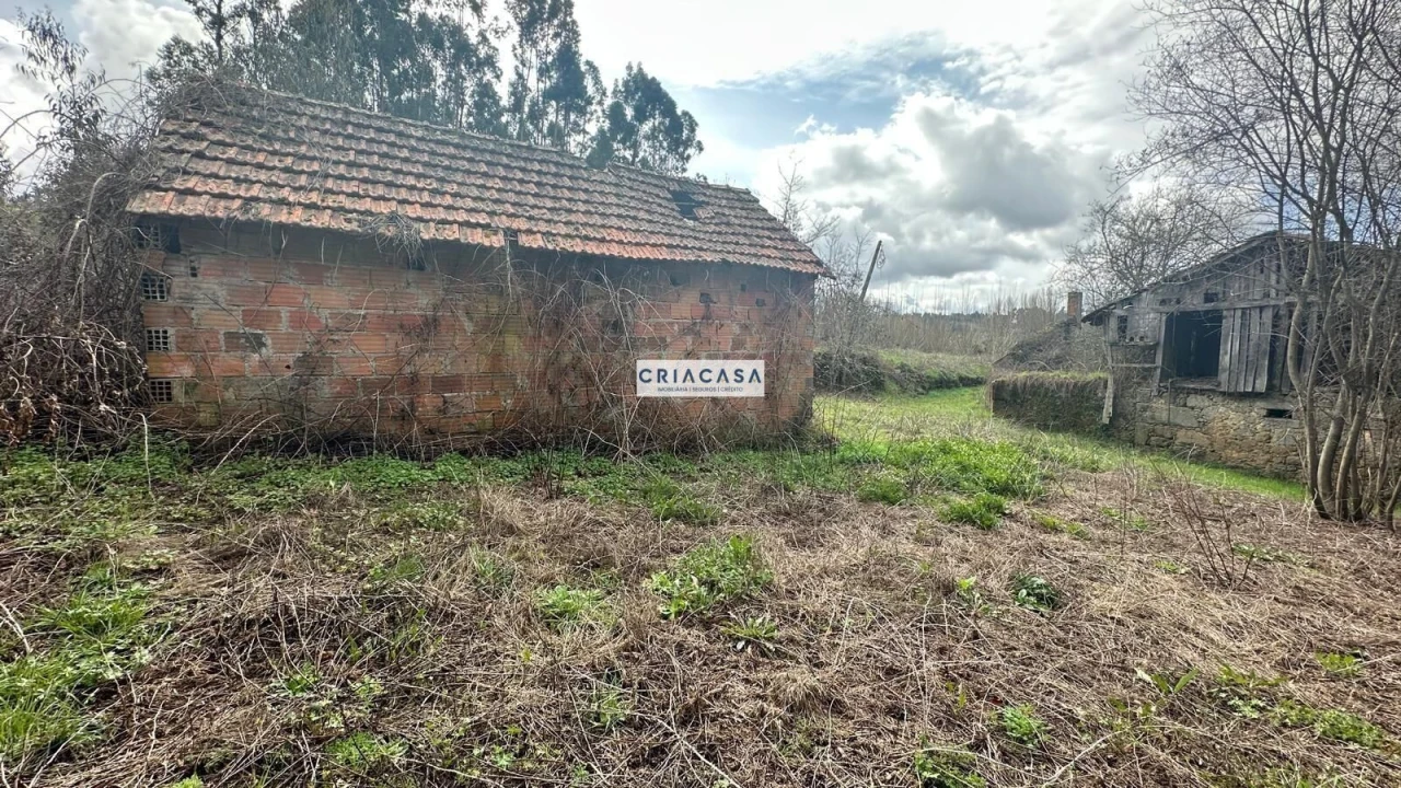 Terreno para Venda em São Cipriano e Vil de Souto Foto 23