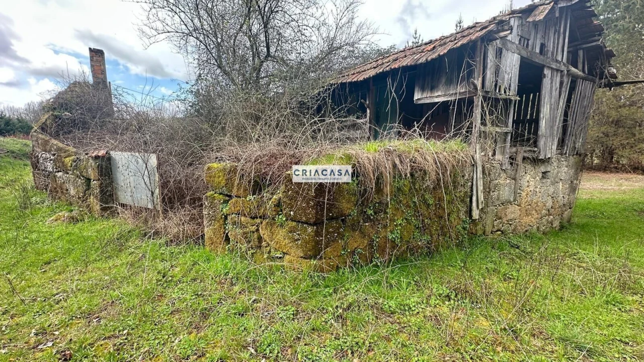 Terreno para Venda em São Cipriano e Vil de Souto Foto 8
