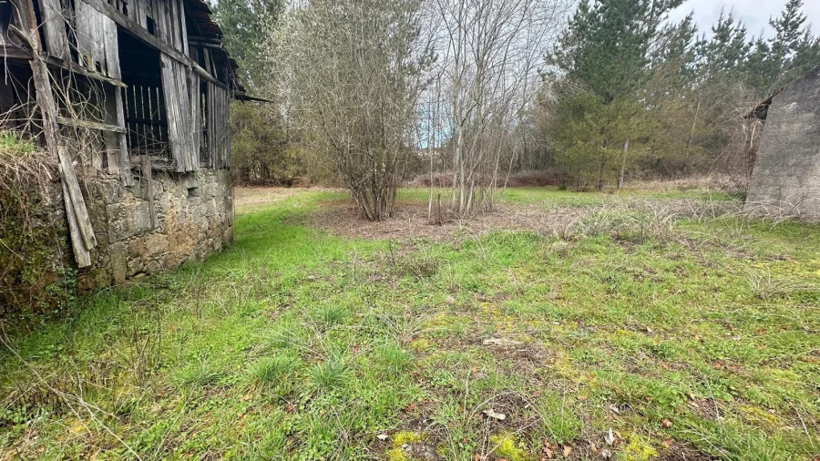 Terreno para Venda em São Cipriano e Vil de Souto Foto 10