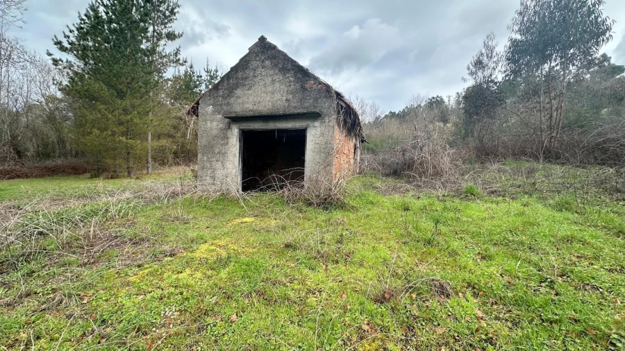 Terreno para Venda em São Cipriano e Vil de Souto Foto 16