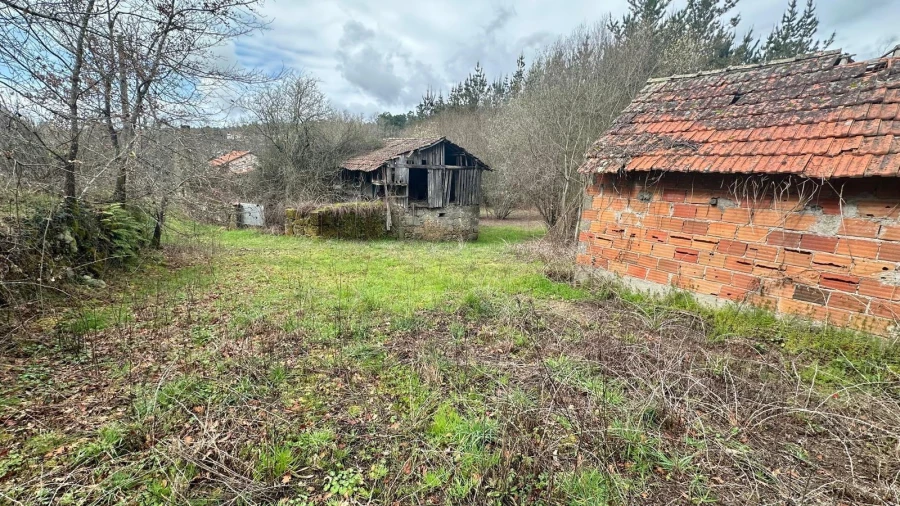 Terreno para Venda em São Cipriano e Vil de Souto Foto 18