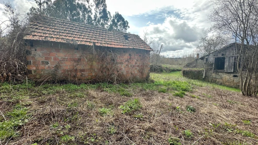 Terreno para Venda em São Cipriano e Vil de Souto Foto 19