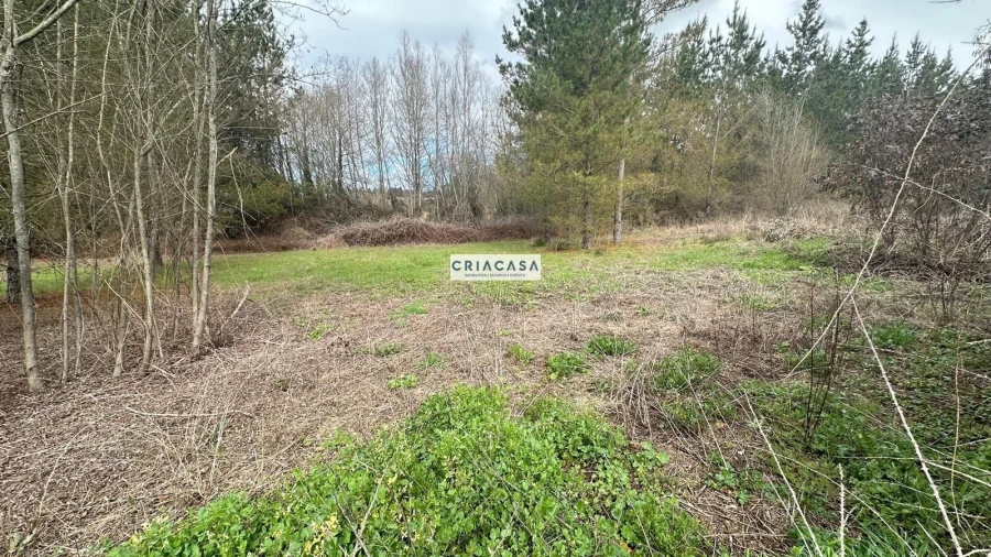 Terreno para Venda em São Cipriano e Vil de Souto Foto 12