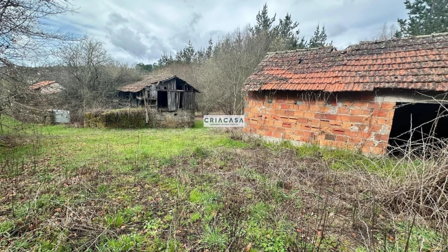 Terreno para Venda em São Cipriano e Vil de Souto Foto 16