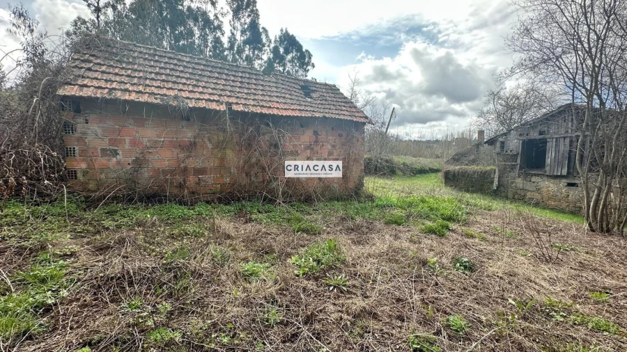 Terreno para Venda em São Cipriano e Vil de Souto Foto 23