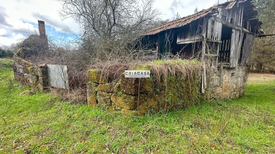 Terreno para Venda em São Cipriano e Vil de Souto Foto 8