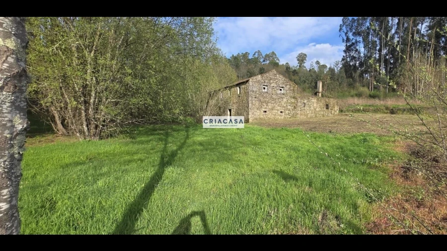 Terreno para Venda em São Cipriano e Vil de Souto