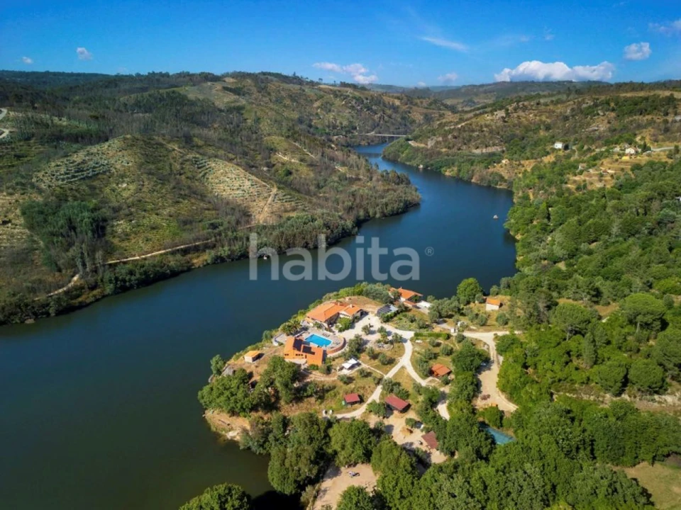 Quinta T10 para Venda em Povoa de Midões Foto 4