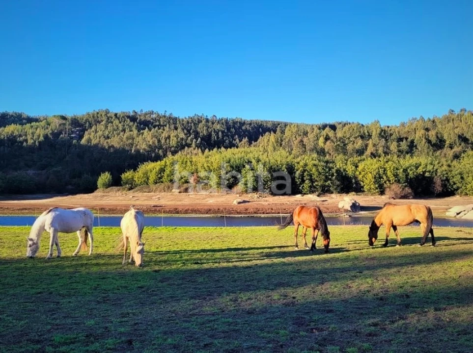 Quinta T10 para Venda em Povoa de Midões Foto 3