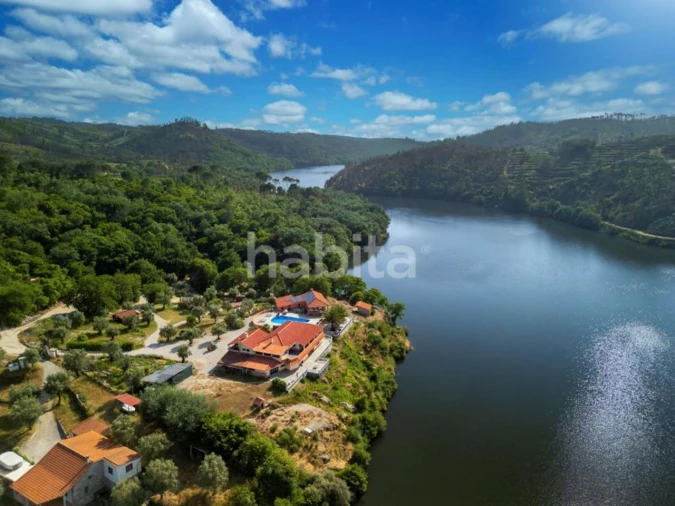 Quinta T10 para Venda em Povoa de Midões Foto 2