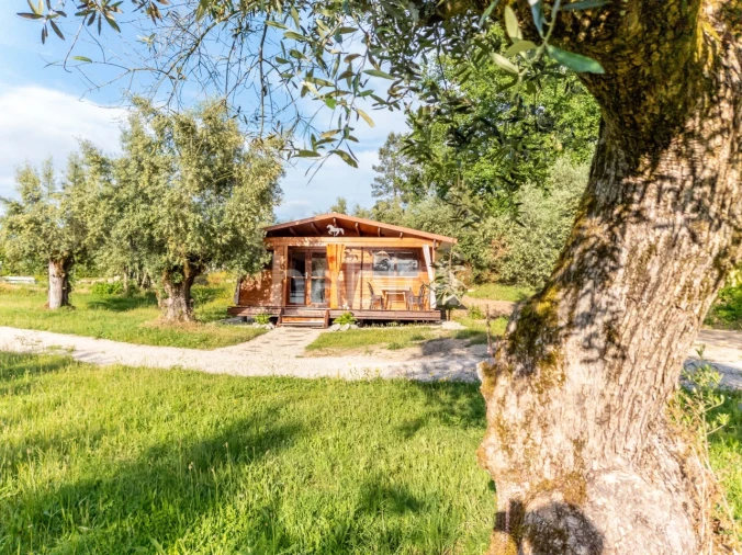 Quinta T10 para Venda em Povoa de Midões Foto 17