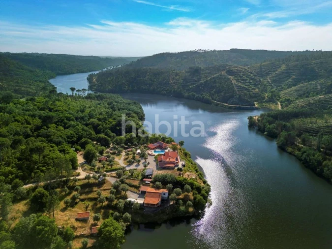 Quinta T10 para Venda em Povoa de Midões Foto 23