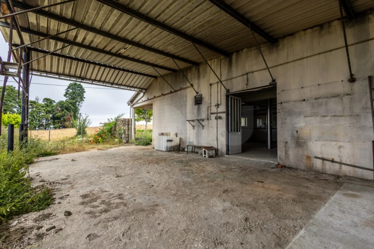 Armazém para Arrendamento em Alcobaça e Vestiaria Foto 19