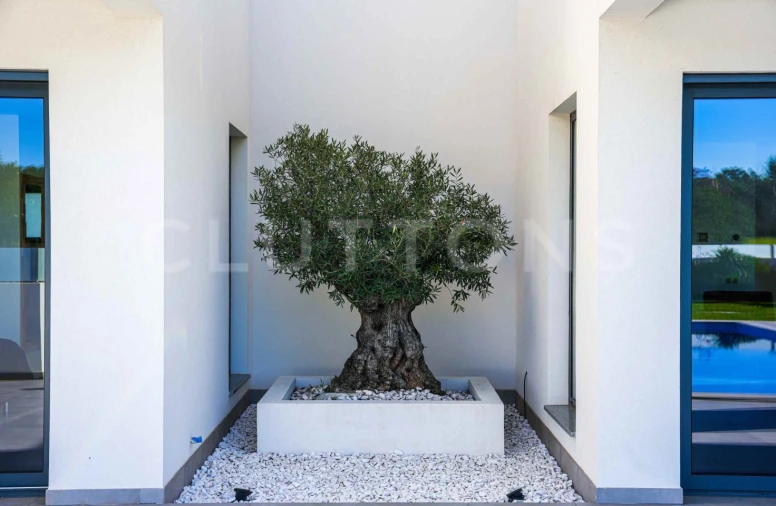 Moradia T4 para Venda em Guia Foto 45