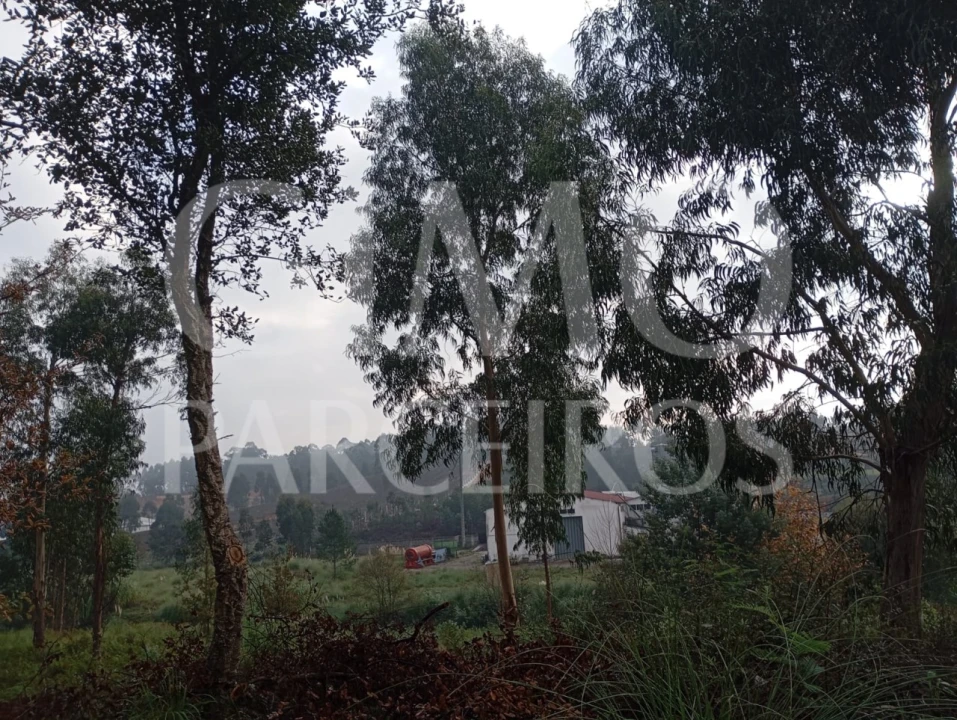 Terreno para Venda em Oiã Foto 2