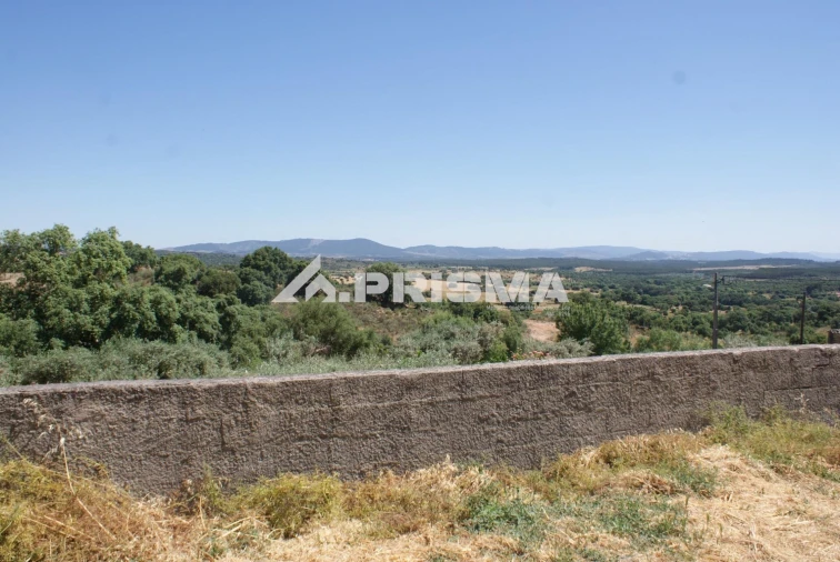 Moradia T3 para Venda em Vale de Prazeres e Mata da Rainha Foto 33