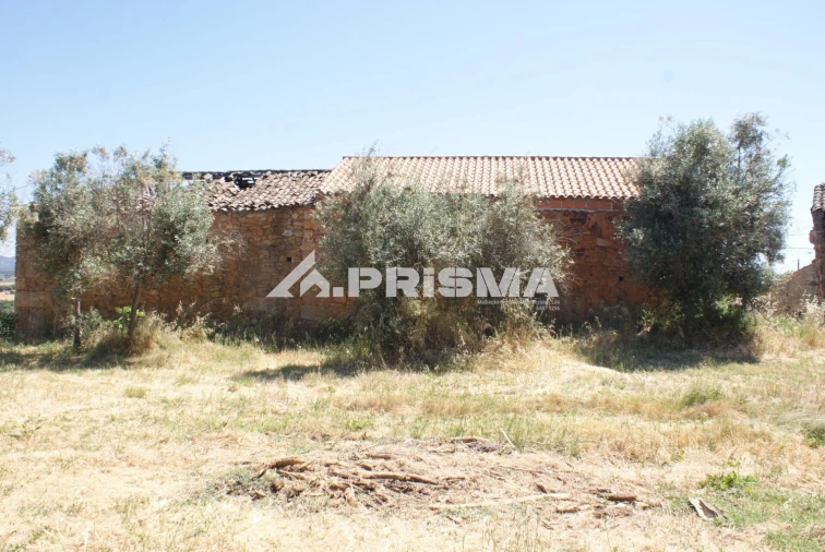 Moradia T3 para Venda em Vale de Prazeres e Mata da Rainha Foto 32