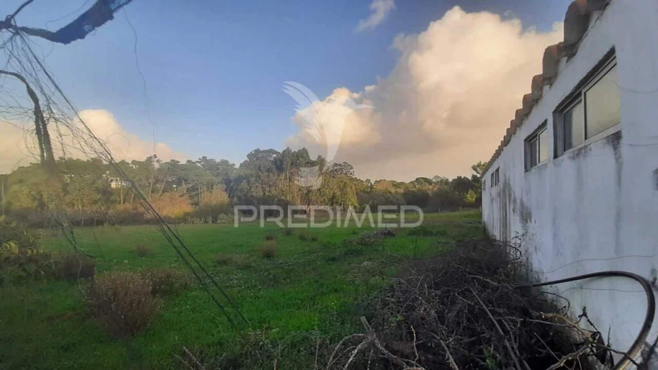 Terreno para Venda em Sesimbra (Castelo) Foto 9