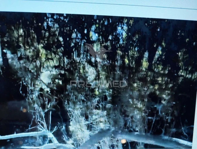 Terreno para Venda em Grândola e Santa Margarida da Serra Foto 3