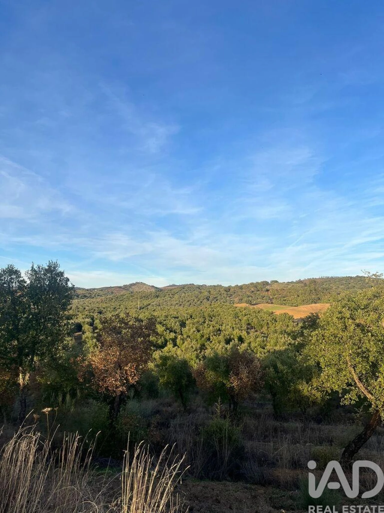 Quinta T2 para Venda em Selmes Foto 8